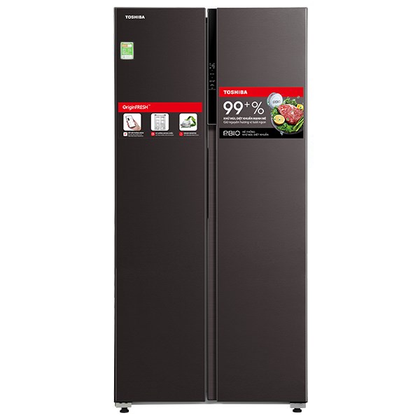 Toshiba Inverter 460 lít GR-RS600WI-PMV(37)-SG